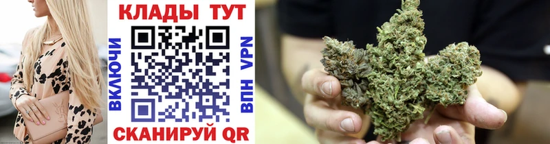 Как найти наркотики Венёв Амфетамин  МЕФ  Alpha PVP  МАРИХУАНА  COCAIN 