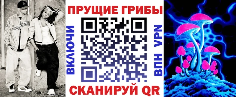 omg ссылка  Венёв  Псилоцибиновые грибы Cubensis 